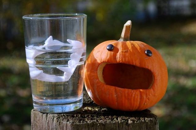 check-out-the-teeth-on-these-pumpkins